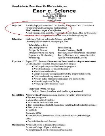 writing an awesome objective for a resume